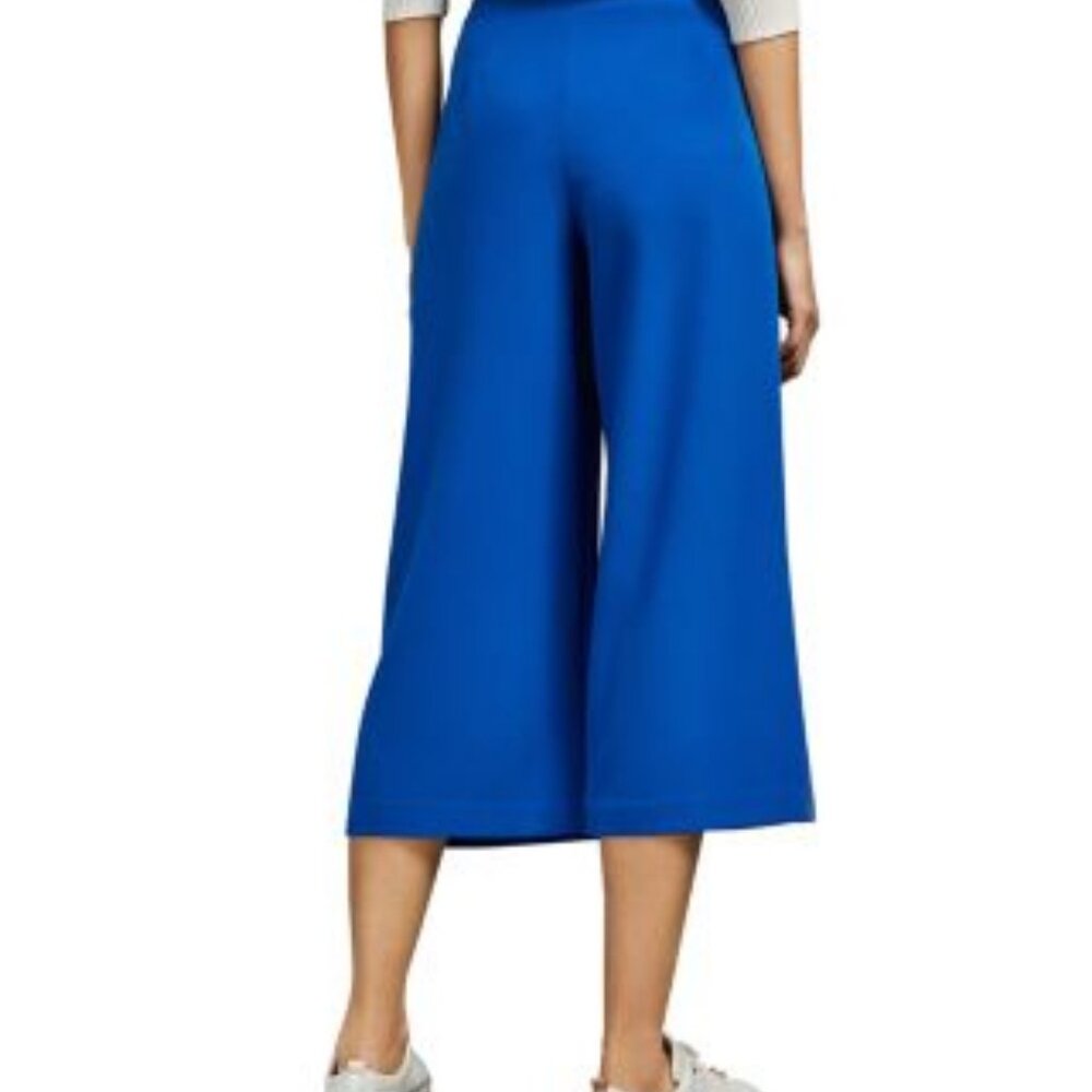 NWT Ted Baker Zettah Pleated Culottes in Blue Size 4 - US Size Large - Picture 3 of 3
